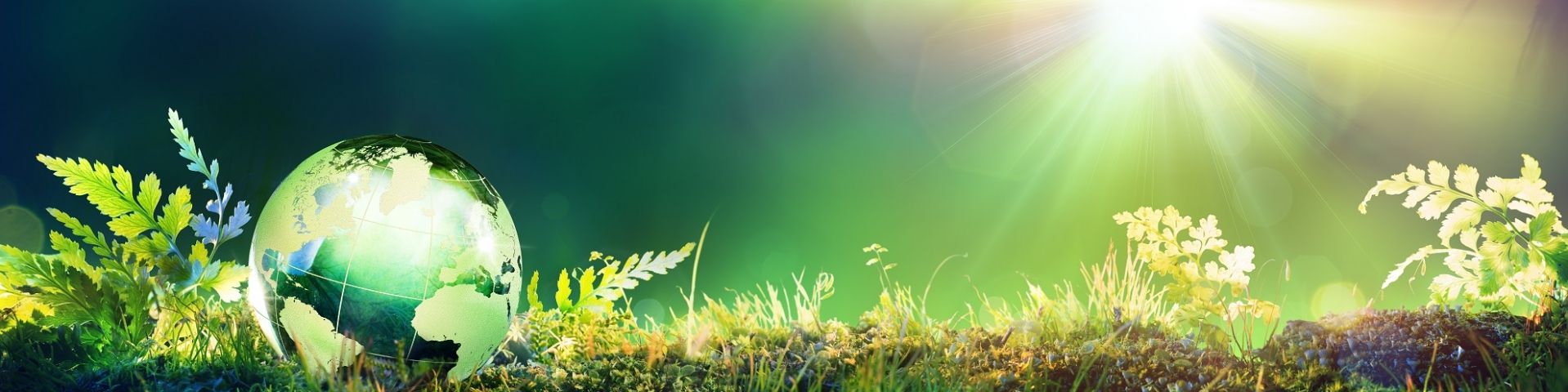 "Heer, uw liefde is zo groot als de wereld, uw trouw is zo hoog als de hemel."